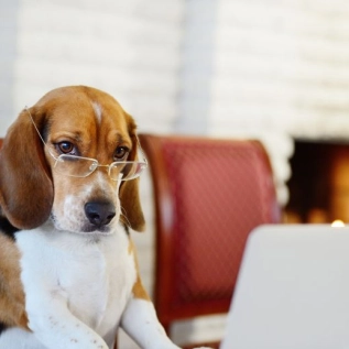 10 jaar geleden…….. Thuiswerken met kinderen deel 2